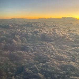 Meet your Posher, Zoe